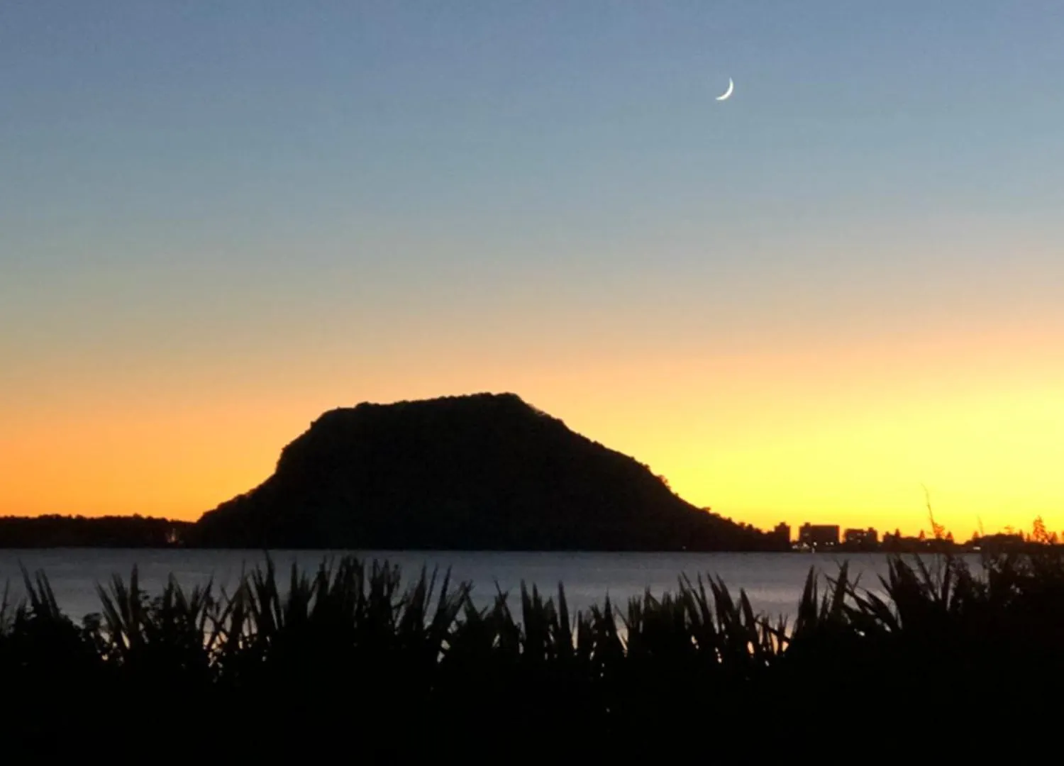 Guest Suite With Sea Views And Thermally Heated Hot Tub Tauranga Guest house